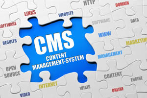 Content Management System(CMS)